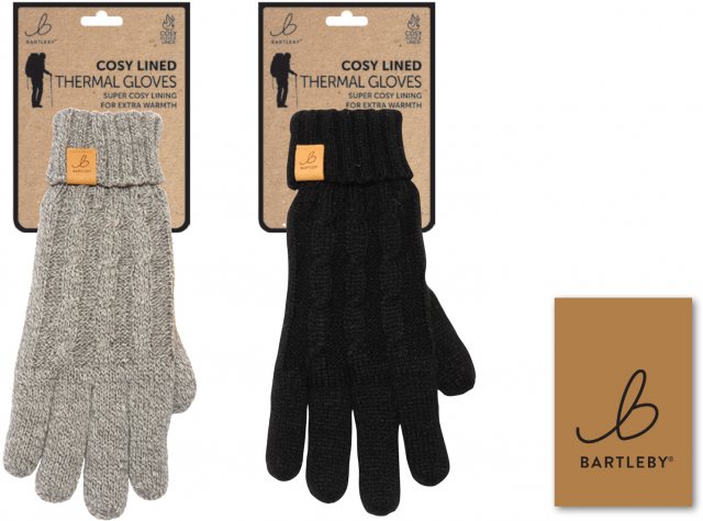 BARTLEB Bartleby Cosy Fleece Lined Thermal Glove Assorted