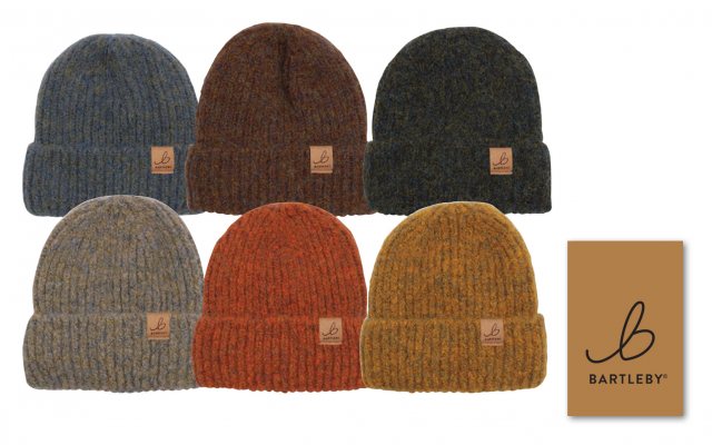 Bartleby Brushed Yarn Lined Hat Assorted