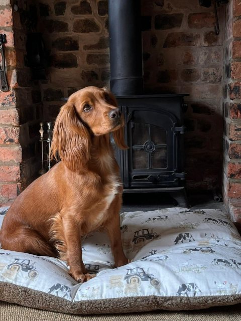 Snug & Cosy Snug & Cosy Farmyard Dog Lounger Cream