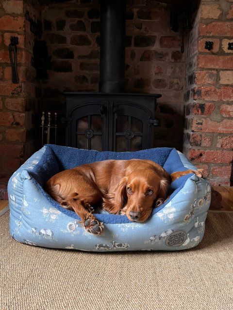 Snug & Cosy Snug & Cosy Farmyard Dog Bed Blue