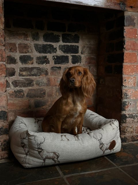 Snug & Cosy Snug & Cosy Moorland Stag Dog Bed