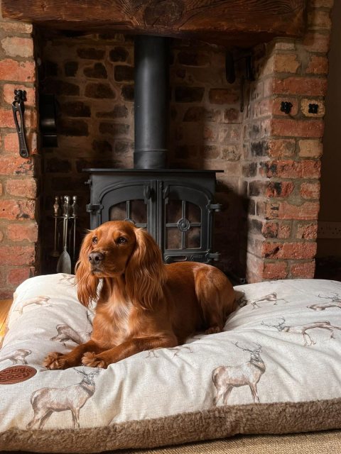 Snug & Cosy Snug & Cosy Moorland Stag Dog Lounger