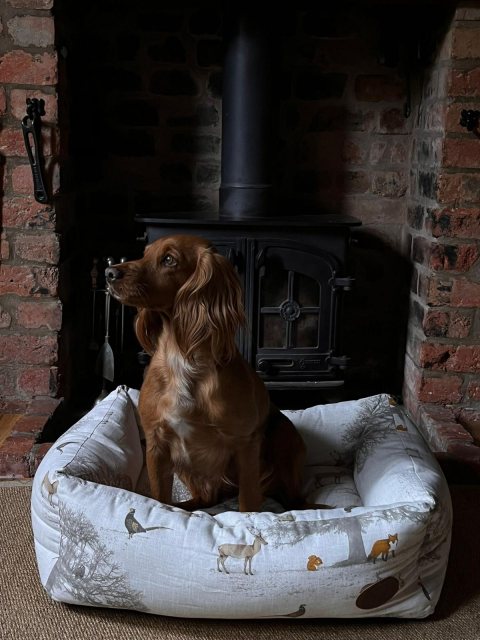 Snug & Cosy Snug & Cosy Woodland Dog Bed