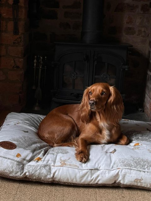 Snug & Cosy Snug & Cosy Woodland Dog Lounger