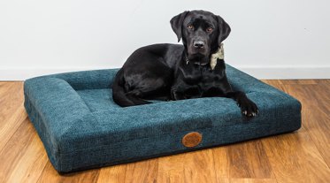 Snug & Cosy Snug & Cosy Orthopedic Dog Lounger Blue