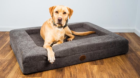 Snug & Cosy Snug & Cosy Orthopedic Dog Lounger Chocolate