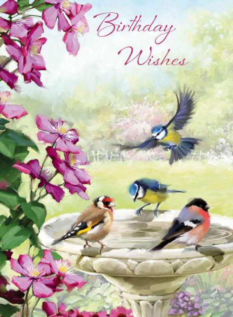 Bird Bath Birthday Wishes Card