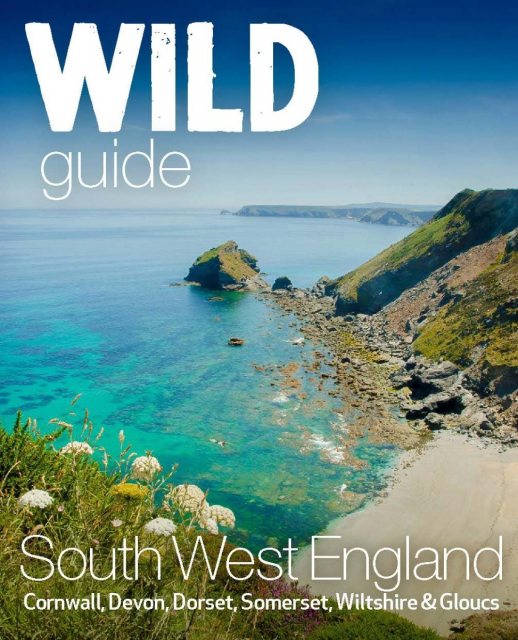 Wild Guide South West Book