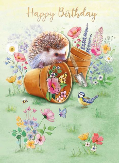 Hedgehog Happy Birthday Card