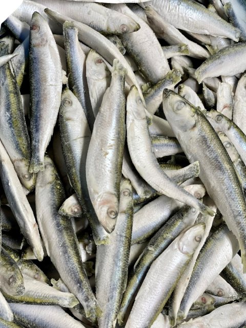 Dougie's Frozen Whole Sprats 1kg