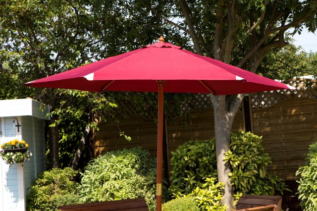 Charles Taylor  Charles Taylor Parasol Burgundy