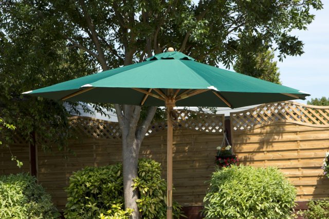 Charles Taylor  Charles Taylor Parasol Green