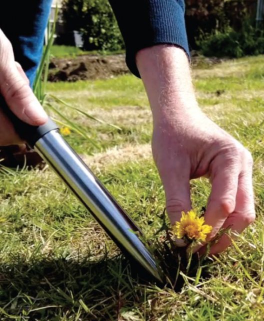 CREATIVE Creative Weed Away Tool