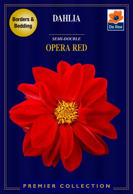 De Ree Dahlia Opera Red Semi Double Bulbs