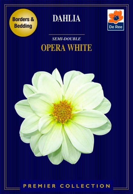 De Ree Dahlia Opera White Semi Double Bulbs