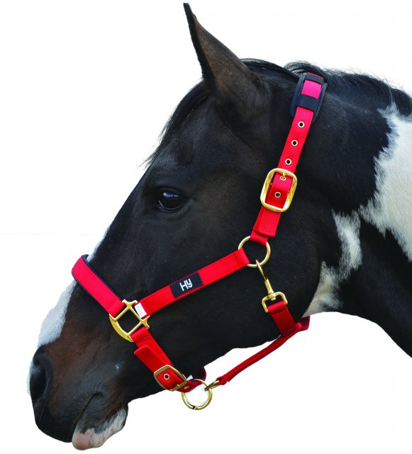 HY Equestrian HY Equestrian Deluxe Padded Head Collar