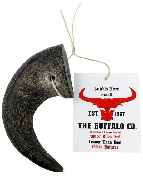 Buffalo Horn