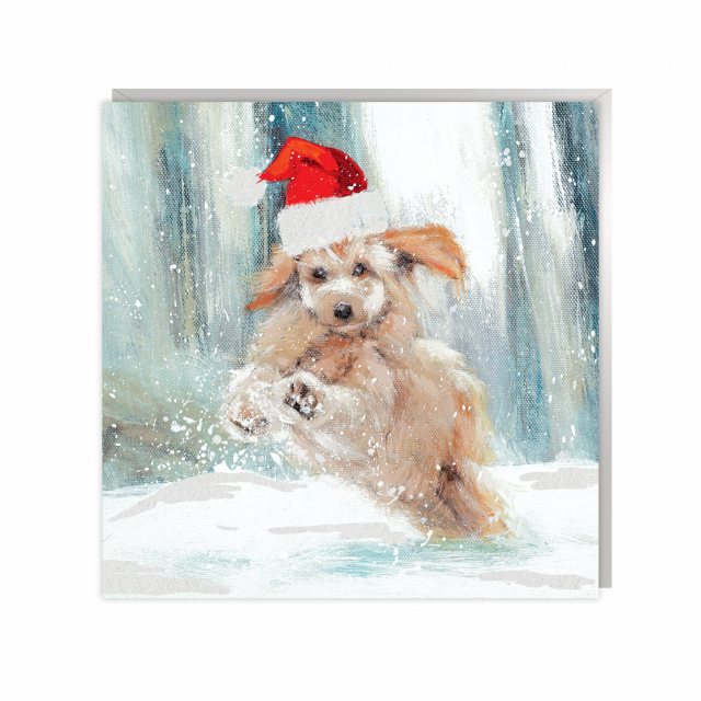 Art Marketing Santa Puppy Christmas Card 6 Pack