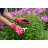 LOVE Oak Leaf Poppy Gardening Gloves S/M