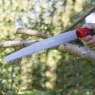 Darlac Sabre Tooth Pruning Saw