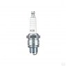 NGK NGK Spark Plug