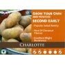 POTATO SEED CHARLOTTE 2KG