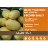 POTATO SEED MARFONA 2KG