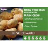 POTATO SEED KING EDWARD 2KG