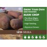 POTATO SEED SARPO MIRA 2KG