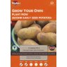 POTATO SEED CHARLOTTE 10PK