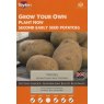 POTATO SEED NICOLA 10PK