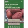 POTATO SEED DESIREE 10PK