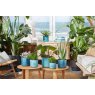 Elho Ocean Collection Round Pot Atlantic Blue