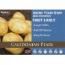 POTATO SEED CALEDONIAN PEARL 2KG