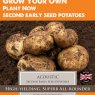 POTATO SEED ACOUSTIC 10PK