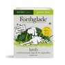 FORTHGLA Complete Senior Grain Free Turkey & Lamb With Veg 12 x 395g