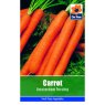 *CARROT AMSTERDAM FORCING SEEDS