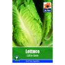 *LETTUCE LITTLE GEM SEEDS