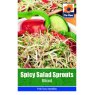 *SPICY SALAD SPROUTS MIXED SEEDS