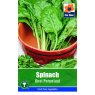 *SPINACH BEET PERPETUAL SEEDS