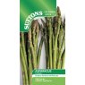 *SEED ASPARAGUS ARIANE