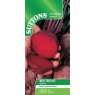 SEED BEETROOT GLOBE 2