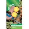 SEED BEETROOT BOLDOR F1