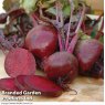 SEED BEETROOT BOLTARDY