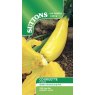 SEED COURGETTE ATENA F1