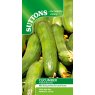 SEED CUCUMBER MINI MUNCHER F1