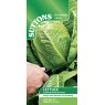 *SEED COS LETTUCE SWEET SUCCESS