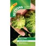 *SEED PATTY PAN GREENDISC F1