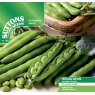 SEED BROAD BEAN AQUADULCE