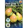 TREE PEAR DOYENNE DU COMICE